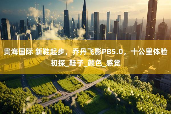 贵海国际 新鞋起步，乔丹飞影PB5.0，十公里体验初探_鞋子_颜色_感觉